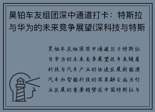 昊铂车友组团深中通道打卡：特斯拉与华为的未来竞争展望(深科技与特斯拉合作)